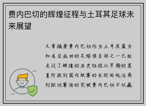 费内巴切的辉煌征程与土耳其足球未来展望