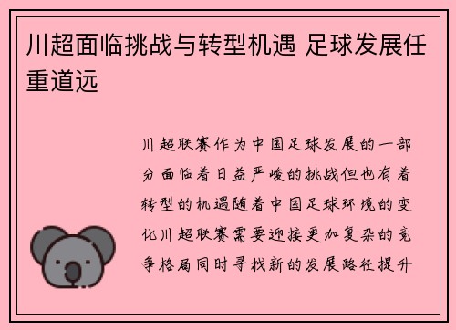 川超面临挑战与转型机遇 足球发展任重道远